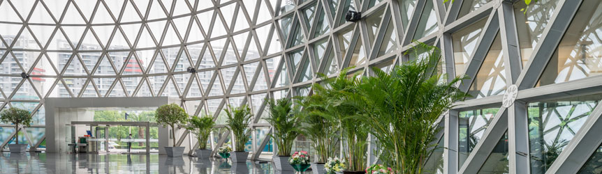 Las smart cities en las que viviremos