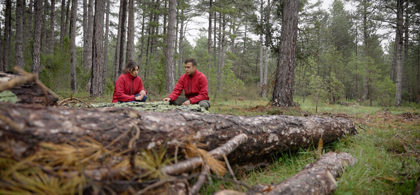 El proyecto europeo Life Token CO₂ pretende valorizar la gestión forestal para frenar el cambio climático