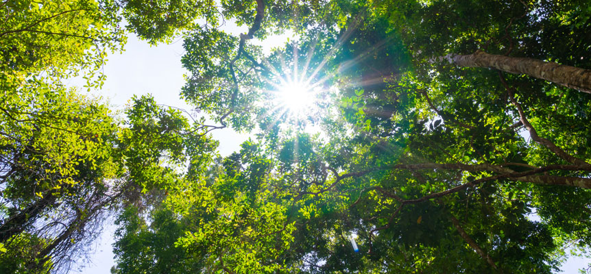 ¿Por qué el proyecto Life Token CO₂ es esencial para mitigar el cambio climático?