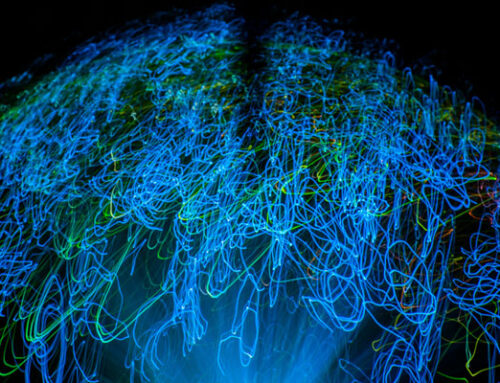 Hozono Global participa en un proyecto de investigación nacional sobre la IA