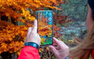 Cofrentes se convertirá en un Destino Turístico Inteligente de la mano de Digiltea