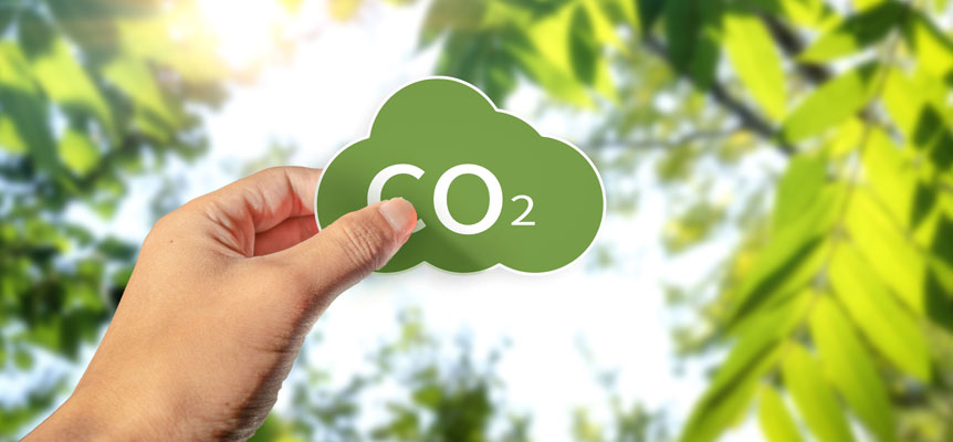 Life Token CO₂ reconocido por la Comisión Europea como innovación clave en acción climática