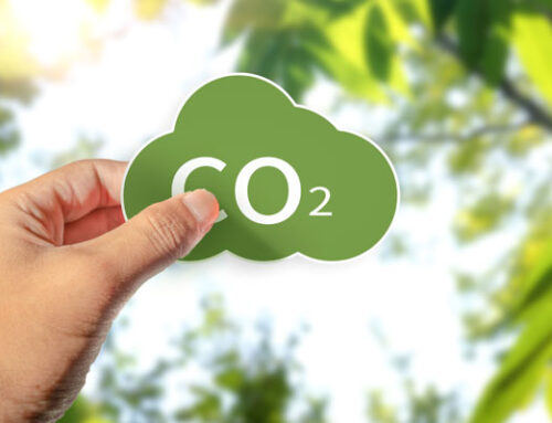 Life Token CO₂ reconocido por la Comisión Europea como innovación clave en acción climática